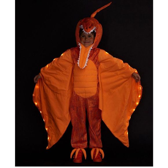 Pottery Barn Costumes Pottery Barn Light Up Pterodactyl Halloween Costume Poshmark
